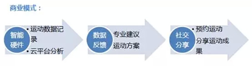 体育研究报告24.webp.jpg