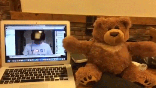 bearx519.gif