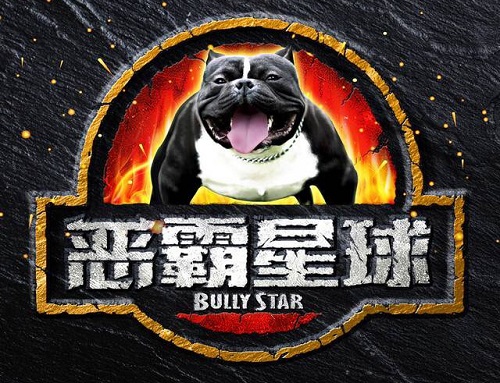 全球高端宠物服务平台恶霸星球