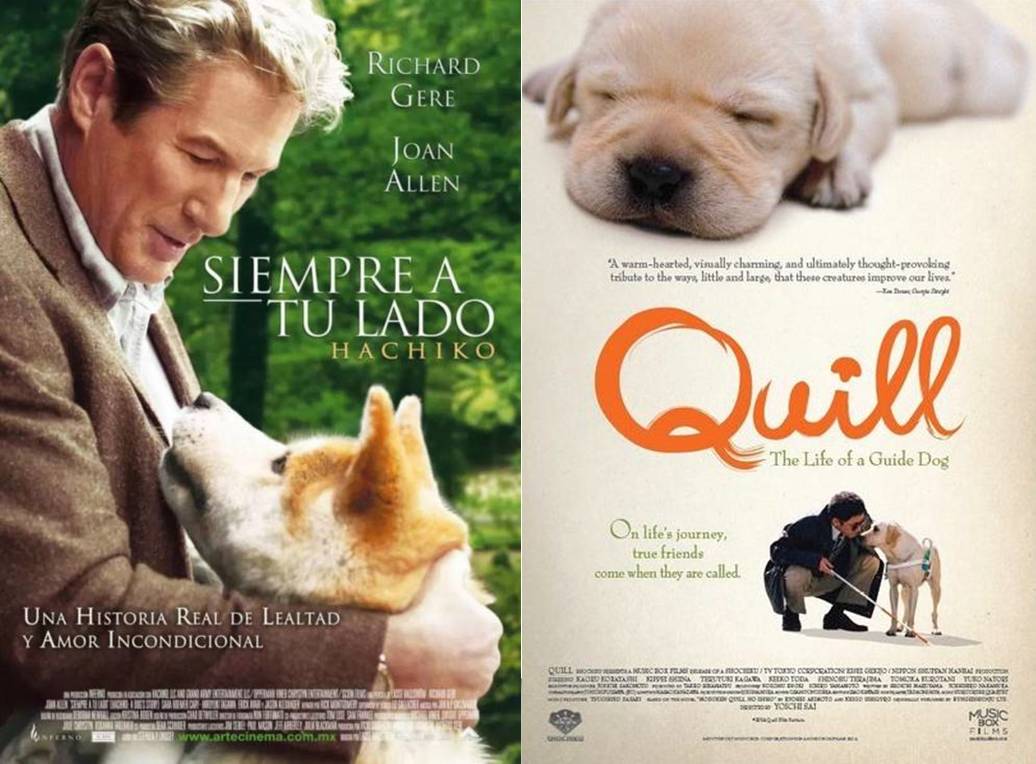 《一条狗的使命》6天破2亿赢票房刷纪录，阿里影业国际化蓝图拉开