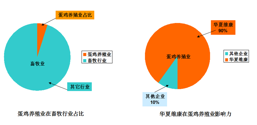 『华夏维康』获得2000万元投资