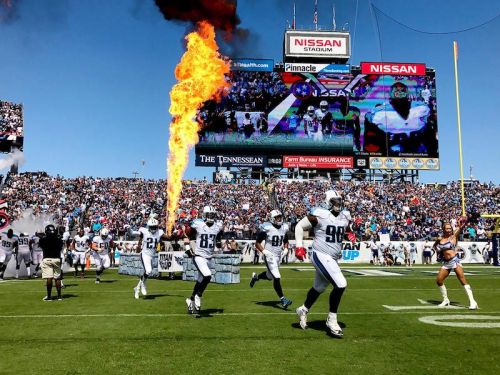 苹果公司CEO蒂姆·库克分享iPhone7 Plus拍摄的照片