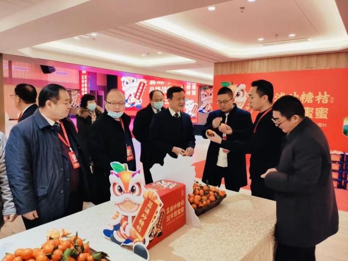 荔浦砂糖桔举办品牌战略发布会 砂糖桔第一县让新年更甜蜜